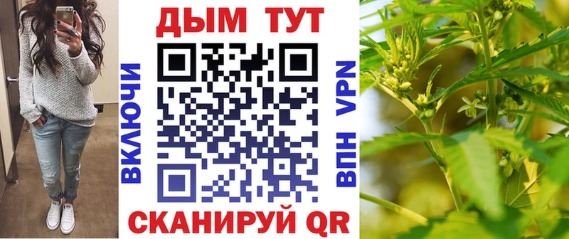 Канабис SATIVA & INDICA  Купить где  Кола 
